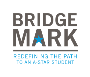 BridgeMark_Logo_wTag_Pos_RGB