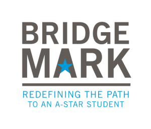 BridgeMark_Logo_wTag_Pos_RGB
