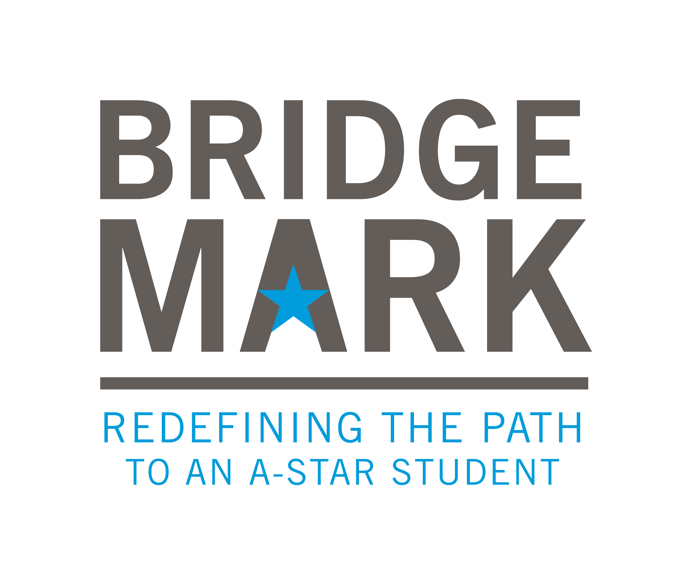 BridgeMark_Logo_wTag_Pos_RGB1.png